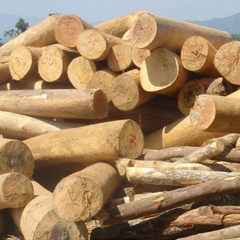 Gỗ các loại