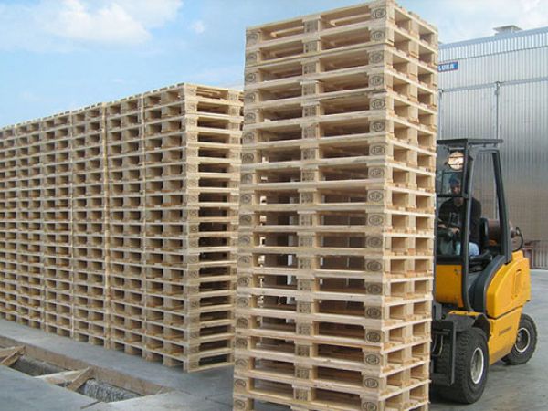 Có nên sử dụng pallet gỗ trong kho lạnh?
