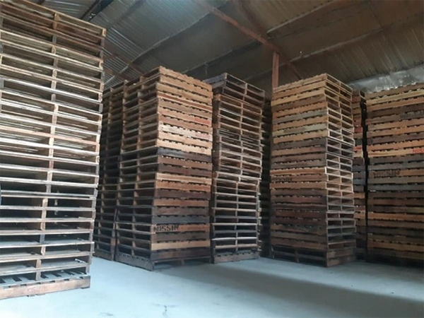 Mua Pallet Gỗ Cũ – Có Đồng Nghĩa Với Việc Mua Rủi Ro?